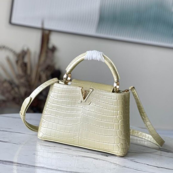 women handbagCapucines N93163 27x18x9cm gf